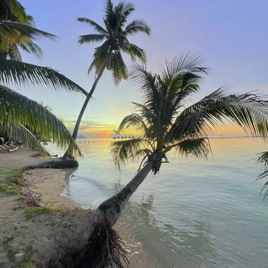 Scenic beach with palm trees during an island hopping trip F-Lina Water Villa Resort