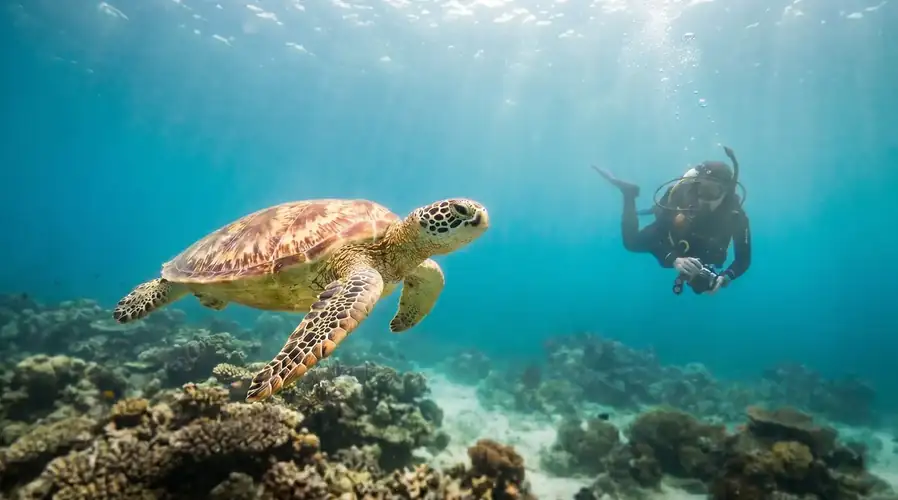 Scuba diving excursion to the world-renowned Sipadan F-Lina Water Villa Resort