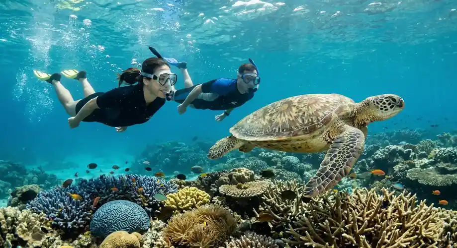 Snorkeling with a sea turtle in the clear turquoise sea F-Lina Water Villa Resort